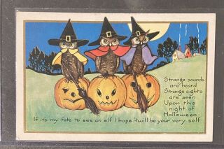 Vintage Whitney Made Halloween Postcard Children Pumpkin Owls Brooms 1928