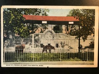 Vintage Postcard 1919 Bear Pit Franklin Park Zoo Boston Massachusetts