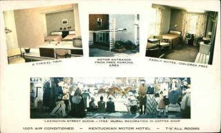 Lexington,  Ky The Kentuckian Motor Hotel Fayette County Kentucky Postcard Vintage