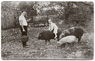 Vintage Rppc Young Boy Rides On Hog