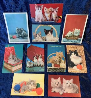 10 Vintage 1960s Kitty Cat Postcards Lusterchrome Chrome Color 60s All