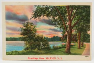 Vintage Postcard Greetings From Marion Ny Sunset Trees Lake Water Road