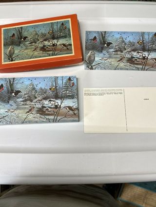National Wildlife Federation Vintage Postcard Birds.  48 Postcards.  1973