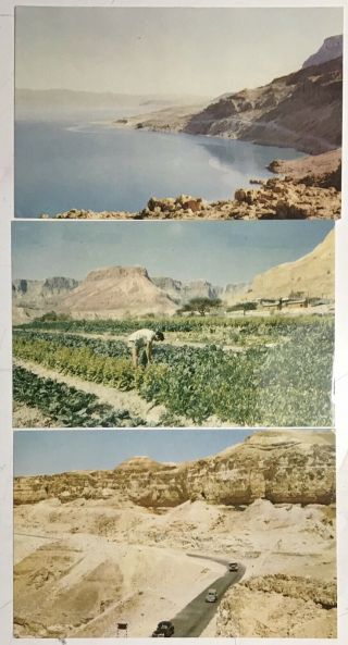 3 Vintage Israel Post Cards Real Photo/ Dead Sea/ Sdom 1955?