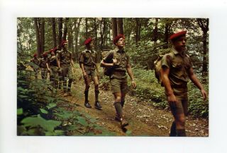 Vintage Postcard,  Boy Scouts Of America,  Red Beret,  Hiking In Forest