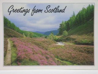 Vintage Postcards Greetings From Scotland Printed In Scotland By J.  Arthur Dixon
