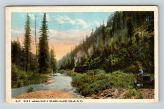 Black Hills Sd,  Train,  Rapid Canon,  Vintage South Dakota C1926 Postcard