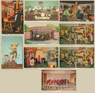 9 Vtg Postcards Of St Louis Zoo Circus Act Performing Elephants Monkeys Lions B