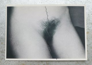 Vintage Laurence Sackman Photograph Reprint In Paris 1980 4x6 " Postcard