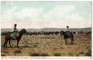 100220 Vintage Cowboy Western Postcard Cowboys Holding Up Lead Of Beef Herd