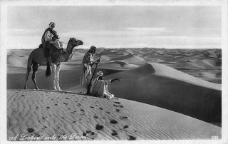 A Lookout Into The Desert Camel Egypt Vintage Real Photograph Postcard