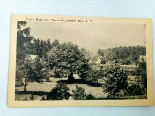 Vintage Postcard Upper Main Street Palenville Catskill Mountains Ny York