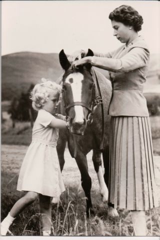 Vintage Postcard Queen Elisabeth Ii & The Royal Family Of Great Britian