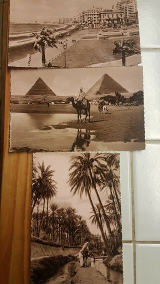 3 X Vintage Postcards Of Cairo,  Giza,  Oasis Egypt 1950 People,  Camel.