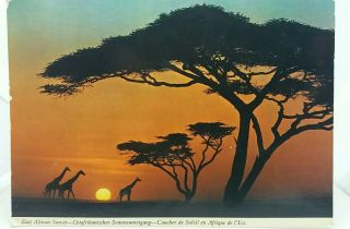 Vintage Postcard East African Sunset Kenya Posted 1977