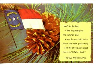 State Flag - Pine Cone - Long Leaf Pine - Down Home - North Carolina - Vintage Postcard