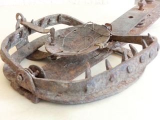 20 " Huge Antique Hand Forged Iron Веаr / Wolf Trap W/ Springs And Wrought Jaws