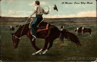 Cowboy/western Man On Bucking Horse Antique Postcard Vintage Post Card