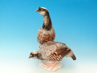 Large Vintage Karl Ens Bird Figure,  Partridges - 11.  25 " Tall