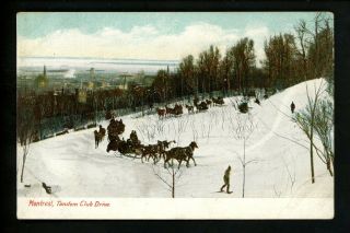 Snow Scene Postcard Tandem Club Drive Sleigh,  Montreal,  Canada Vintage