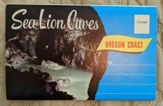 Vintage Oregon Coast Sea Lion Caves Fold Out Postcard - Logging,  Sand Dune Buggy