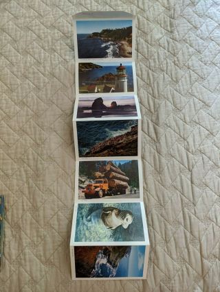 Vintage OREGON COAST SEA LION CAVES Fold Out Postcard - Logging,  Sand Dune Buggy 2