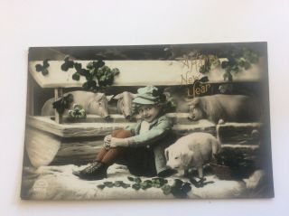 Vintage Happy Year Postcard,  Boy In Front Of Studio Pigs At Trough,  Rppc