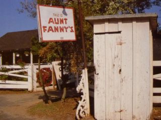 Aunt Fanny 
