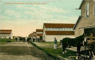 A View At Exhibition Grounds Regina Saskatchewan Vintage Postcard