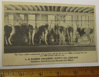 Vintage Picture Postcard A.  H.  Barber Creamery Supply Co Chicago Cows Milker