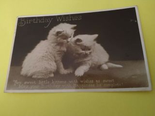 Vintage Cat Postcard.  Rppc.  Two White Kittens.  Birthday.  British Postcard 1934