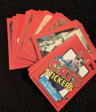 Perlorian Cats Complete Trading Cards / Sticker set of 55,  Header Topps 1983 2