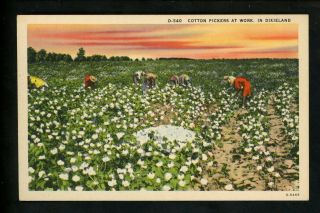 Black Americana Vintage Postcard Cotton Picker In Dixieland Linen