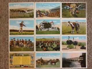 12 Vintage Western Postcards Featuring Miller Bros.  101 Ranch,  Down In Oklahoma