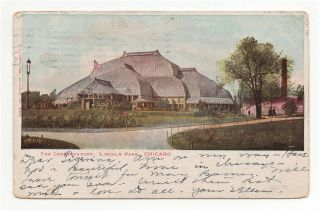 1906 Vintage Postcard Chicago Illinois Lincoln Park Conservatory