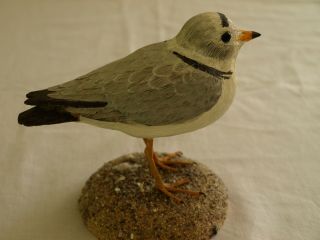 Hand Carved Signed Vtg " Piping Plover " By James R Peacock