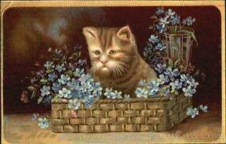 Cats 1910 Love Me Little Love Me Long Antique Postcard 1c Stamp Vintage