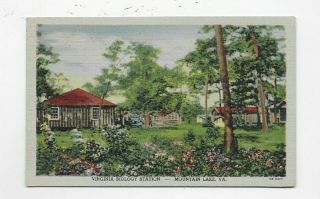 Vintage Linen Postcard Virginia Biology Station Mountain Lake Va M1459