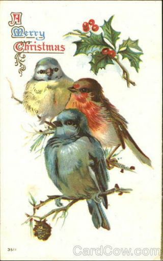 Xmas A Merry Christmas Birds Antique Postcard Vintage Post Card