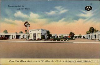 1960 Mesa,  Az Peter Pan Motor Hotel Maricopa County Arizona Colourpicture Vintage