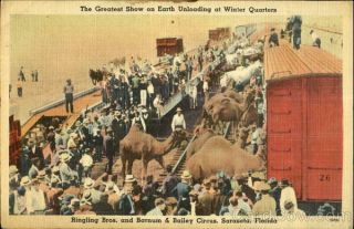 1946 Sarasota,  Fl The Greatest Show On Earth Unloading At Winter Quarters Vintage