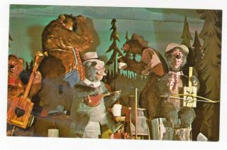 Vintage Postcard Walt Disney World Country Bear Jamboree Magic Kingdom Unposted