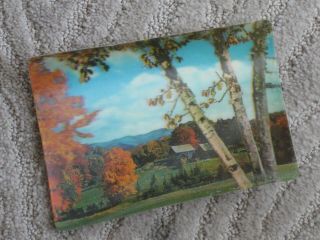 Vintage 3 - D Dimension Living Natural Color Postcard - - " Mountain Retreat "