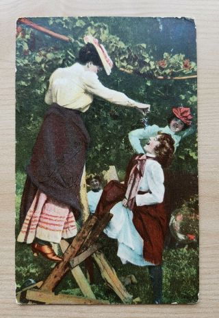 Vintage Postcard 1909 Rome NY Women Picking and Sharing Grapes or Berries 3