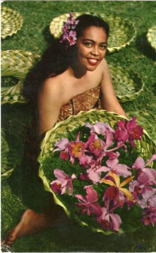 Vintage 1960s Hawaiian Orchids W/ Hula Girl Hawaii Tiki Related Postcard