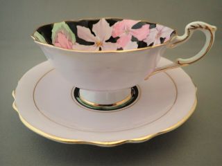 Vintage Paragon China Black Pink Multi Color Floral G7151h Tea Cup & Saucer