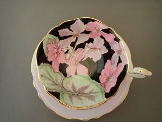 Vintage Paragon China Black Pink Multi Color Floral G7151H Tea Cup & Saucer 2