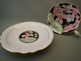 Vintage Paragon China Black Pink Multi Color Floral G7151H Tea Cup & Saucer 3