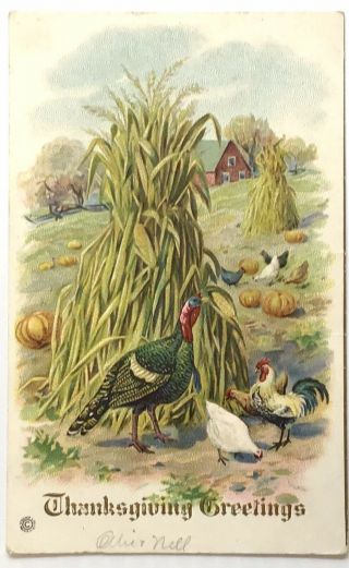Vintage “thanksgiving Greetings” Turkey - Chickens - Pumpkins - Corn Postcard