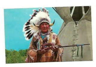 Vintage Native American Indian Postcard S876 Chief Standing Eagle
